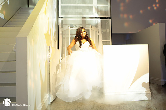EliteStudiosNY0196