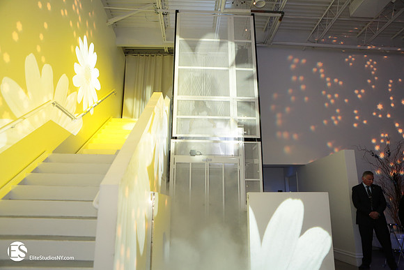 EliteStudiosNY0184
