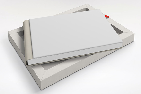 Sample Light Grey album with White Case and Red Ribbon