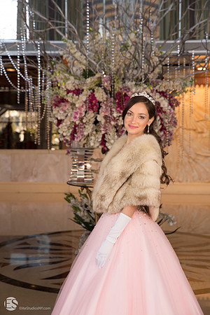 113 -ESNY4678 - EliteStudiosNY.com