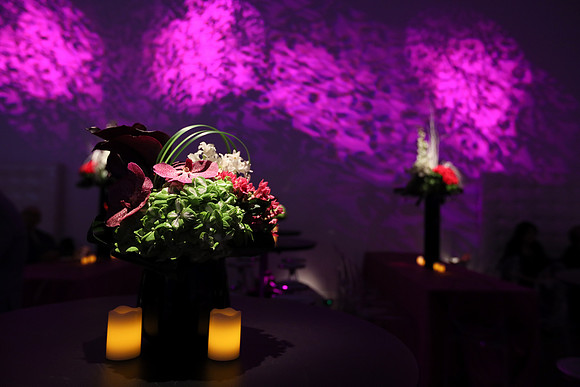 0351EliteStudiosNY0O3A0649