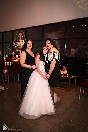 208 -ESNY2246 - EliteStudiosNY.com