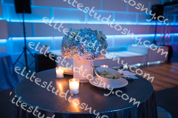 411 -ESNY0808 - EliteStudiosNY.com