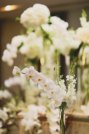 aWTS_0429