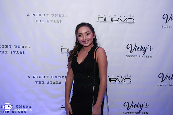 EliteStudiosNY0095