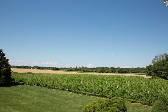 178 -ESNY2245 - EliteStudiosNY.com