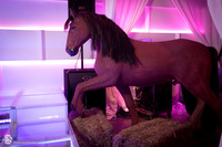 EliteStudiosNY.com-9 ESNY6025