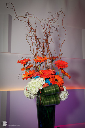 EliteStudiosNY.com-IMG_0542