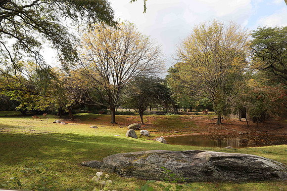 0214EliteStudiosNY0O3A0514