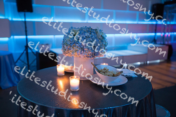 412 -ESNY0810 - EliteStudiosNY.com