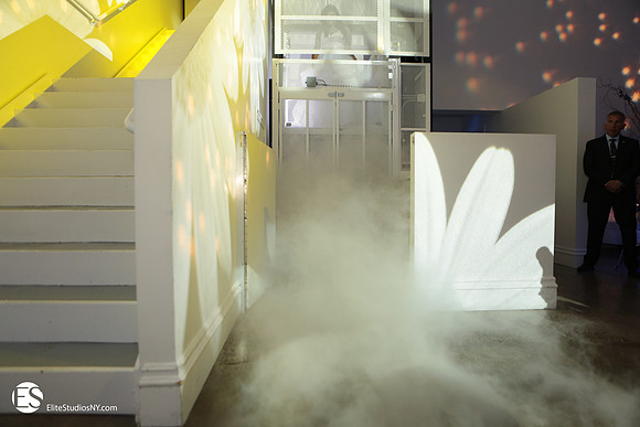 EliteStudiosNY0185